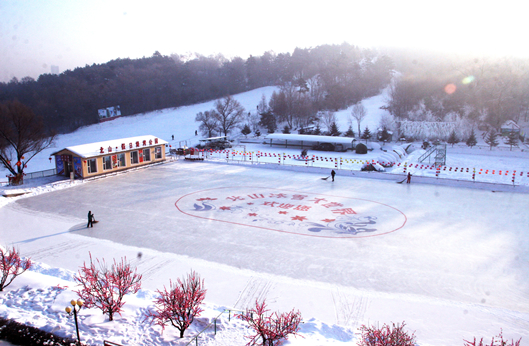 新宝GG—创立事业平台