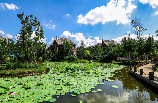 新宝GG—创立事业平台