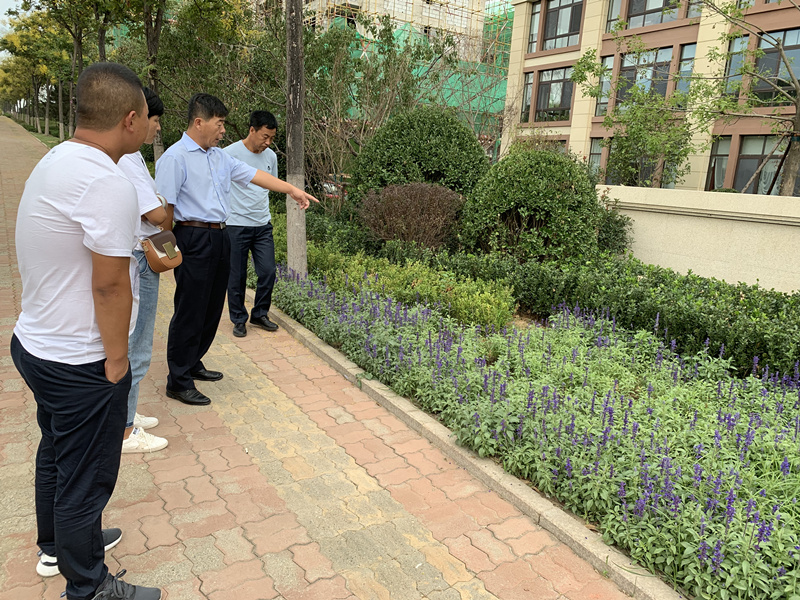 20.园林公司赴威海？？？？疾煲计纺仙较钅.jpg