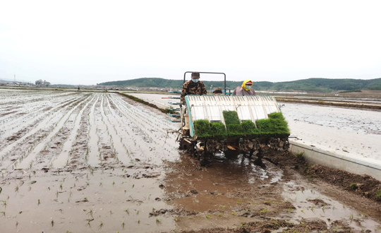 14 新宝GG农业水稻插秧现场_副本.png