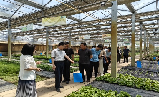 2024年6月27日，，，，，，，，中国绿色食物生长中心相关向导莅临农业总公司考察调研_副本.jpg